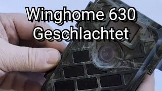 Winghome 630 Auseinandergenommen. Warum ist diese Kamera so günstig ?