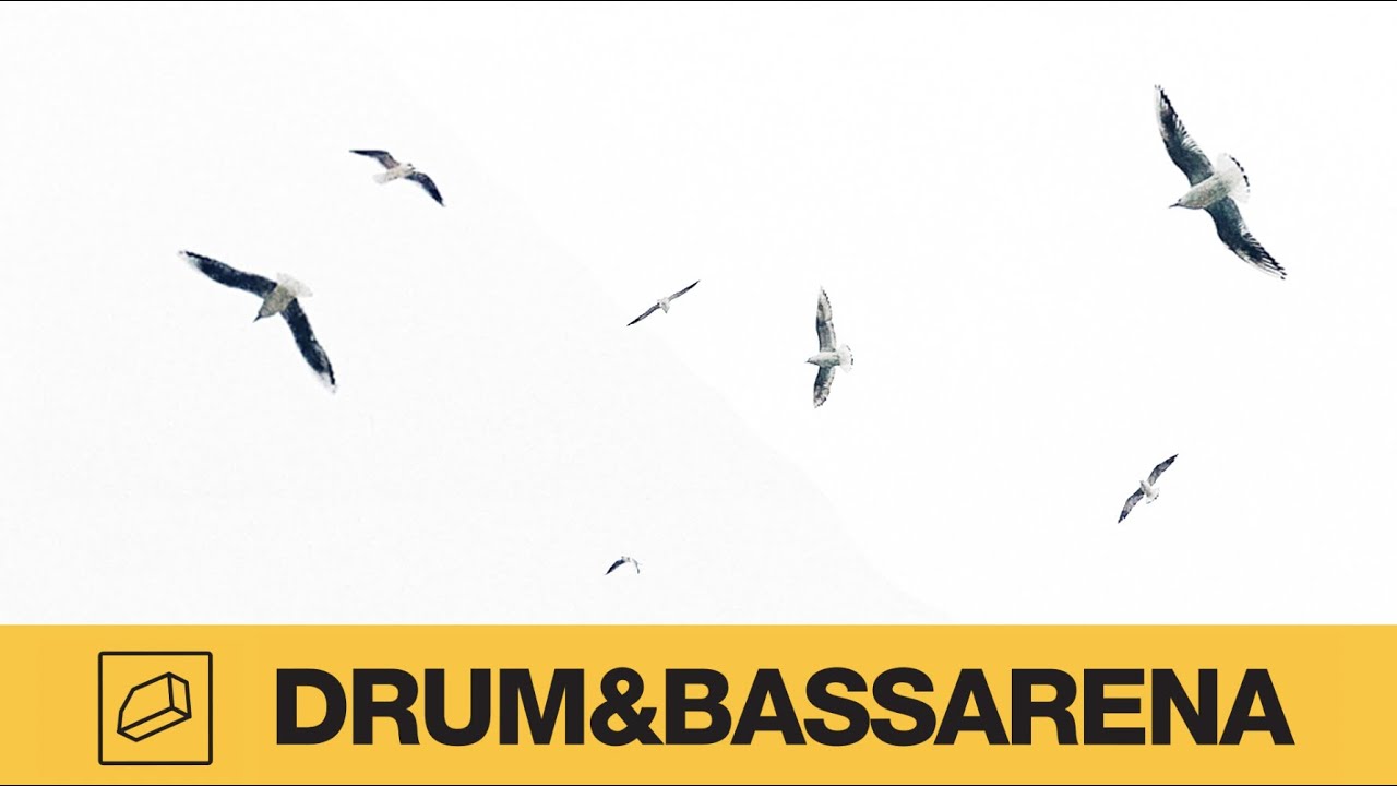 Forbidden Society - Fade Away