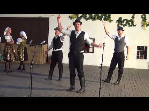 Setkání pod lipú 2018  Veselá partyja z Boršic