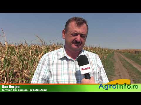 Rapiţa, cultura anului în Arad!