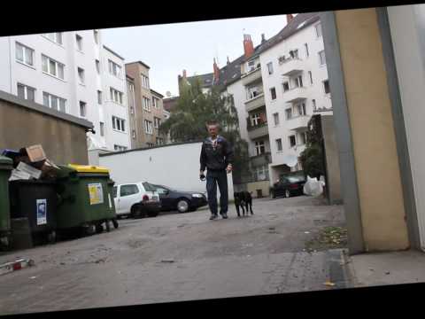 Mighty Mo - Ich bin noch hier