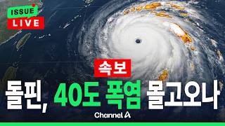 [????이슈를 켜라] [LIVE] [속보] 태풍 돌핀…한반도 살인 폭염 영향? / 채널A