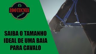 Saiba o tamanho ideal de uma baia para cavalo