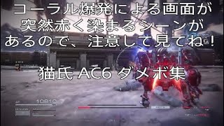 猫氏 AC6 ダメボ集