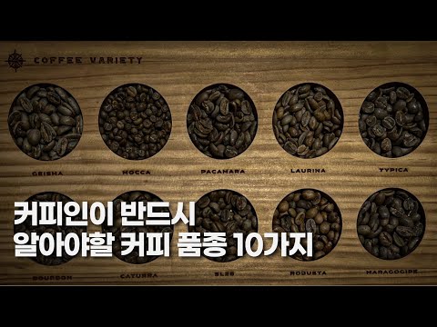 , title : '바리스타, 커피인이 반드시 알아야 할 커피 품종 10가지 | 커피, 커핑, 로스팅, 핸드드립, 강의'