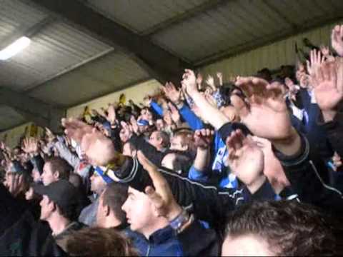westerlo - Genk  1-1  05-11-2010