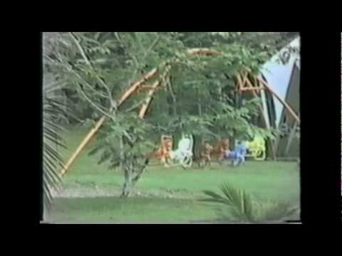 A Look Back at the Baldwin School of Puerto Rico 1978