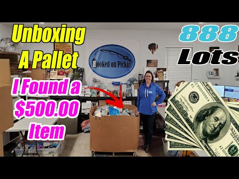 Unboxing this Pallet and finding so much Money! I found a $500.00 Item -So Many good Deals!