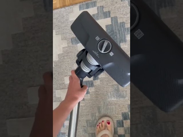 Video teaser for Review - Electrolux - Electrolux - EB61C2GRN - Clean 600 Schlittenstaubsauger - Carolina