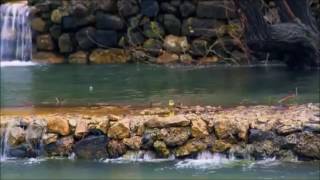 MARIA BETHÂNIA   -  TODOS OS LUGARES