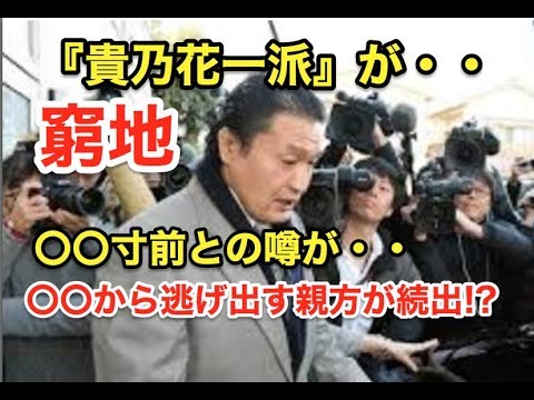 『貴乃花一派』が・・〇〇寸前との噂が!?〇〇から逃げ出す親方が続出!?
