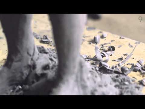 Lexus: Amazing In Motion