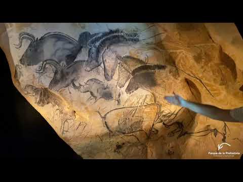 Imagen Visita Virtual a la Galería del Parque