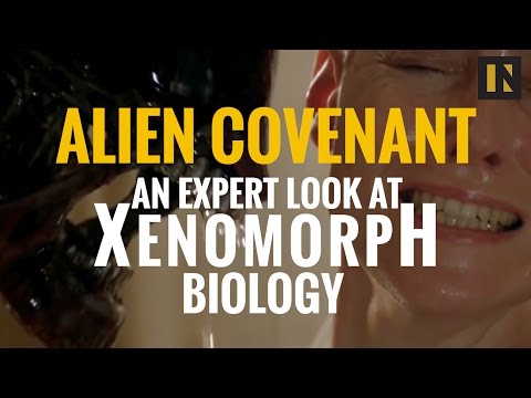 Alien Covenant: An Expert Look At Xenomorph Biology | Inverse