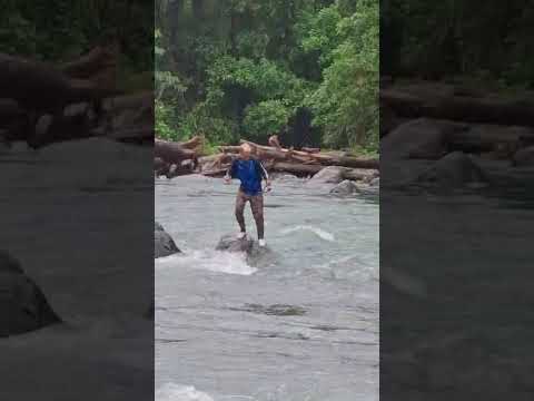 Pesca de sabaleta brycon henni en Rio de Dabeiba