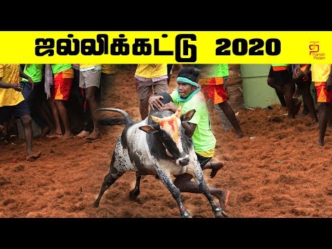 बैल या सांड को वश में करने से सम्बंधित खतरनाक खेल है, बुलफाइटिंग