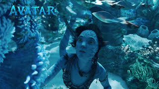 Avatar: The Way of Water (2022) Video