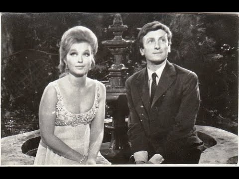 Steaua fără nume 1966