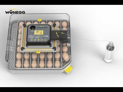 Auto Egg Incubator 48-60 Chicken Bird Eggs Hatcher Automatic Turning Stop Humidity Control