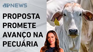 Miniatura do vídeo