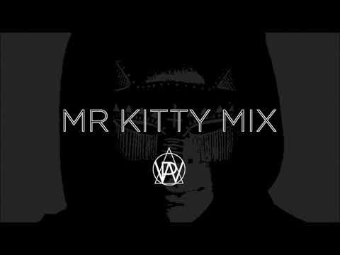 Wandering Poets-Future (Mr Kitty Mix)