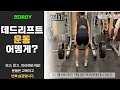 등운동, 데드리프트(Deadlift), 바벨운동, 넓은등만들기, 운동, 헬스장 운동, [건디ROY]
