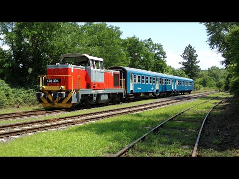 The Line Miskolc-Rendező - Ládi-rakodó (Nr. 93. 2024 5x 4k (jav)