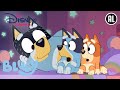 Bluey | De Gemene Broer | Disney Channel NL