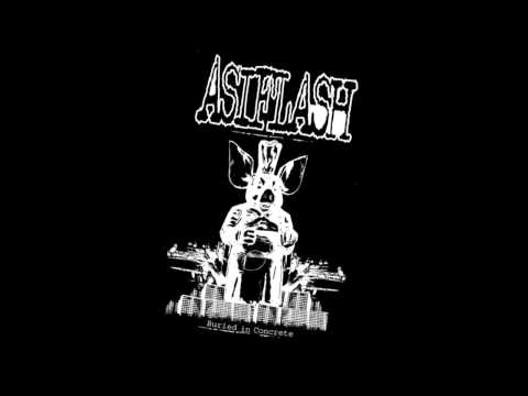 Asiflash - Asiflash