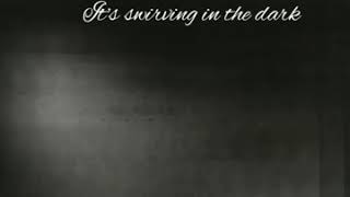 Shadow on the wall - janett Suhh traduction française