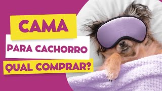 Como Escolher a Melhor Cama para Cachorro? 5 Modelos de Camas para Cachorro!