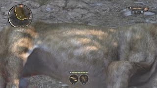 Cabela's® African Adventures (PS4) Story Mode Gameplay: Lion Hunt Part [1/2]
