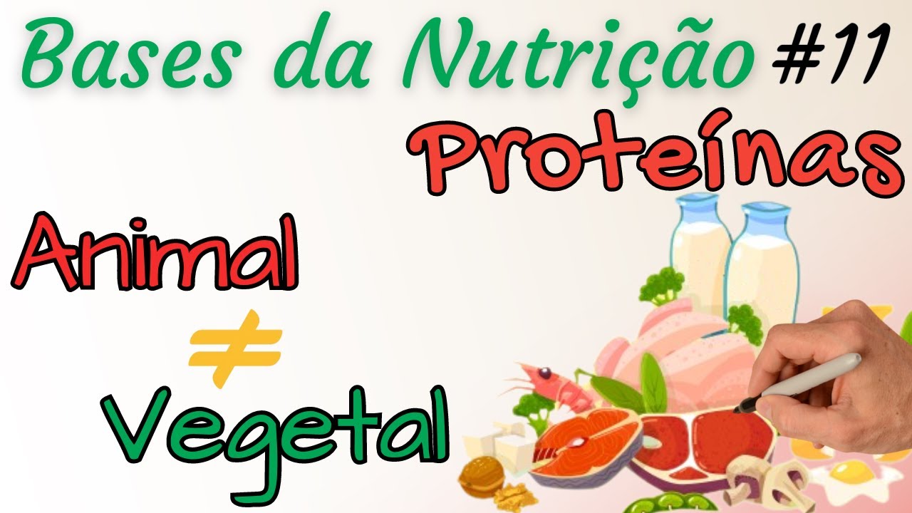 PROTEÍNAS:  fonte ANIMAL x fonte VEGETAL - Diferenças e Cuidados - Bases da Nutrição 11