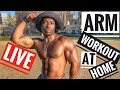 Quarantine Arm Gains!! | Arm Workout at Home for Mass