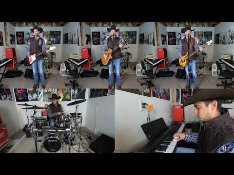 Dixieland Delight - Cover
