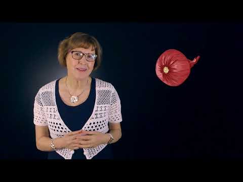 Penny Sophocleous video.