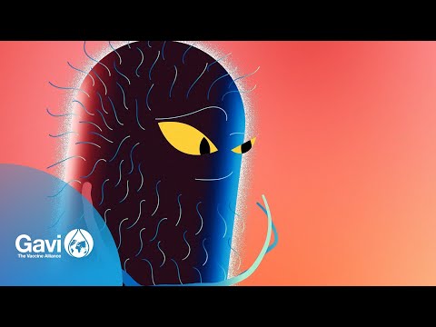 Typhoid conjugate vaccine