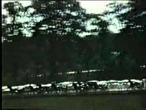 Hambletonian 1955 -Scott Frost