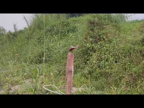 ধলেশ্বরী নদীর মাঝ খানে দাড়িয়ে ফড়িং এর পিছনে ছোটাছুটি। শৈশবের সেই স্মৃতি মনে পরে গেল।
