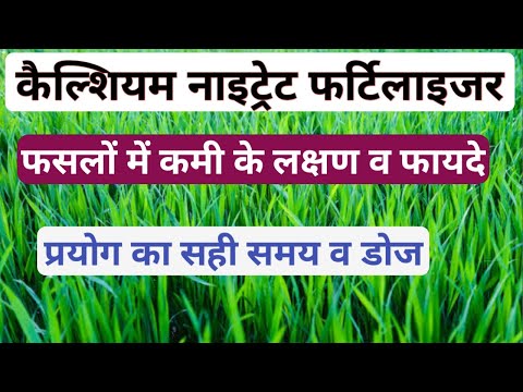Abhimanyu Shakti Calcium Nitrate Fertilizer