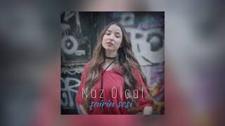Naz Ölçal - Şairin Sesi