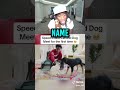 Kai Cenat Reacts To IShowSpeed S Dog S Name