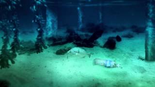 Η Οδύσσεια ενός πλαστικού μπουκαλιού Title