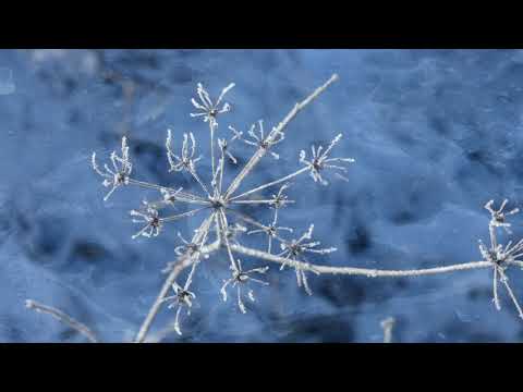 Ein Wintermorgen in Rothenacker