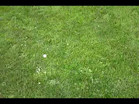 man utd crossbar challenge