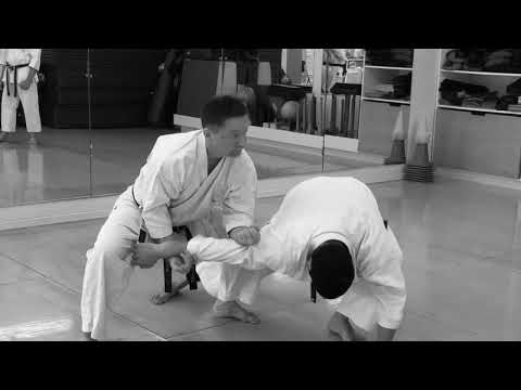 Revealing the Kick Elbow Bunkai in Seipai Kata