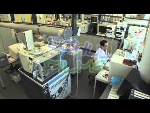 Schulfilme im Netz: DVD / Biologie: Gentechnik - Methoden