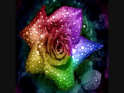 Bingo Players vs Cisko Brothers - A Young Man's Devotion