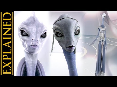 Kaminoan Species Biology, Society, and History