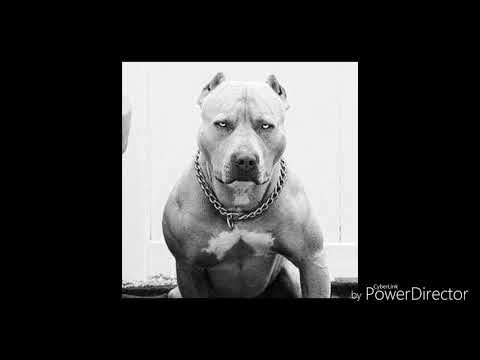 Махленци-страхове